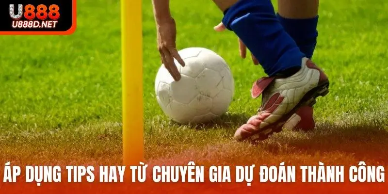Áp dụng tips hay từ chuyên gia dự đoán thành công