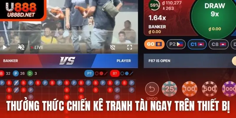 Thưởng thức chiến kê tranh tài ngay trên thiết bị